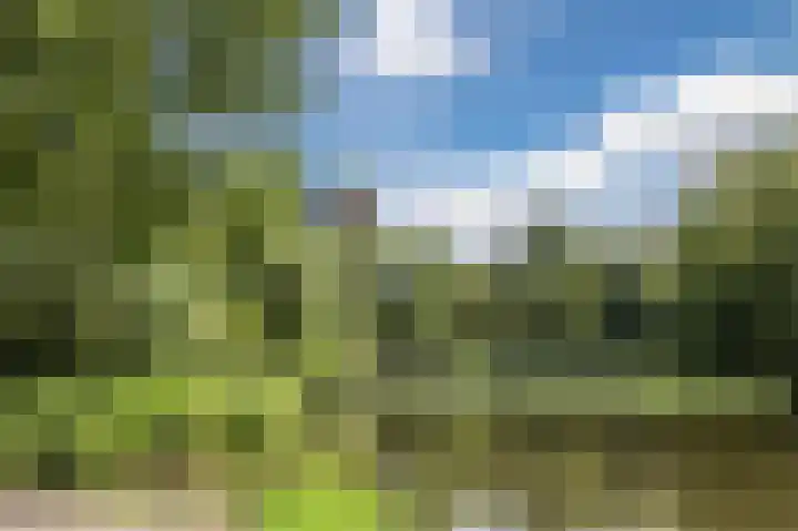 Korfoedreef 15 Utrecht thumbnail 4