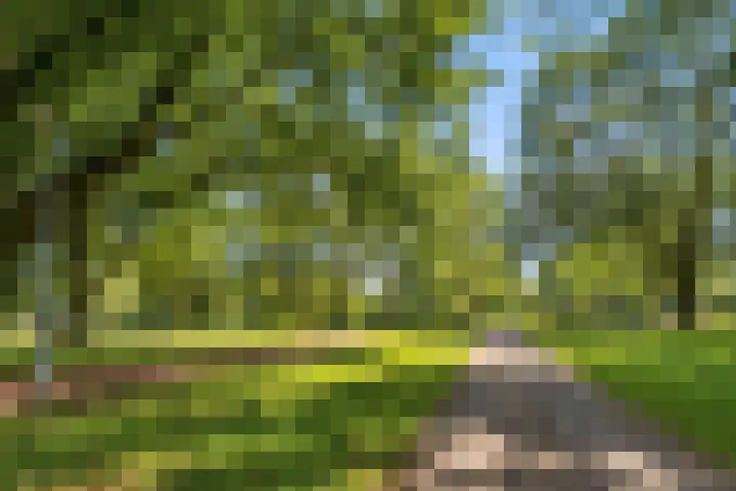 Korfoedreef 155 Utrecht thumbnail 27