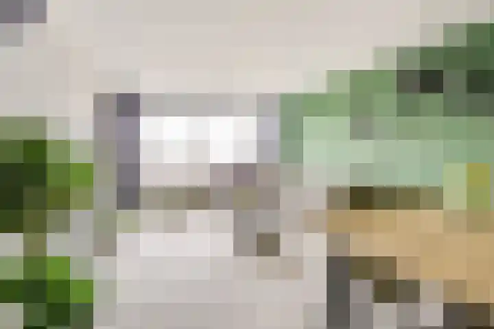 Korfoedreef 181 Utrecht thumbnail 15