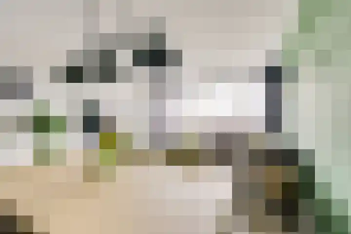 Korfoedreef 181 Utrecht thumbnail 16