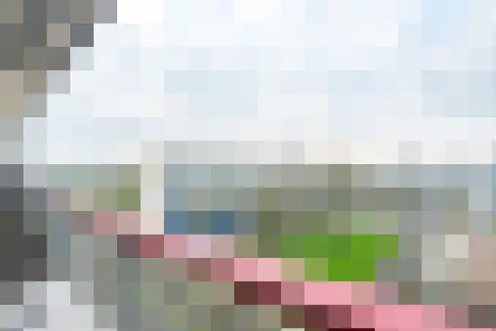 Korfoedreef 181 Utrecht thumbnail 23