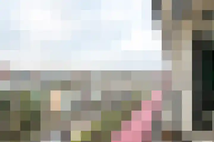 Korfoedreef 181 Utrecht thumbnail 24