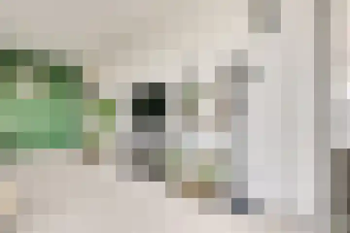 Korfoedreef 181 Utrecht thumbnail 29