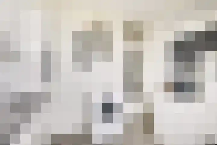 Korfoedreef 181 Utrecht thumbnail 34
