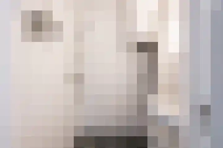 Korfoedreef 181 Utrecht thumbnail 42