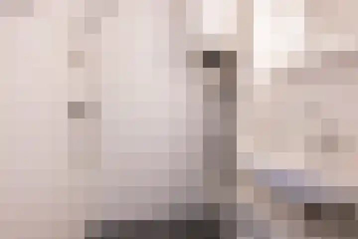 Korfoedreef 181 Utrecht thumbnail 45