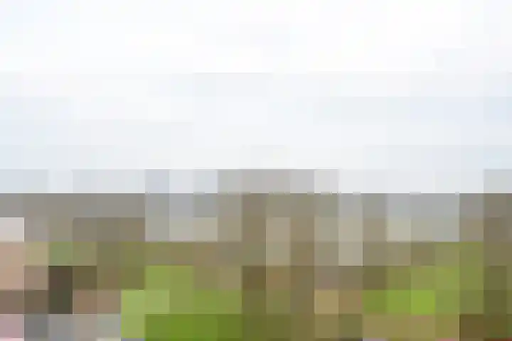 Korfoedreef 181 Utrecht thumbnail 49