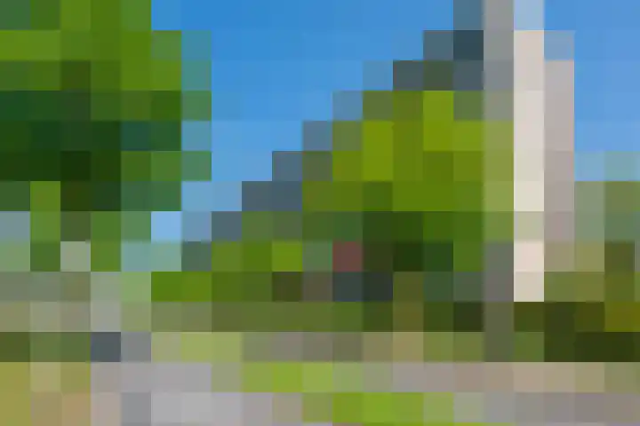 Korfoedreef 181 Utrecht thumbnail 60