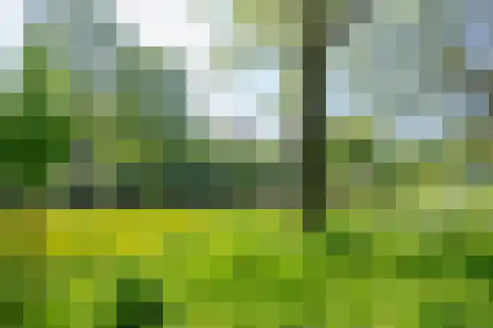Korfoedreef 181 Utrecht thumbnail 61