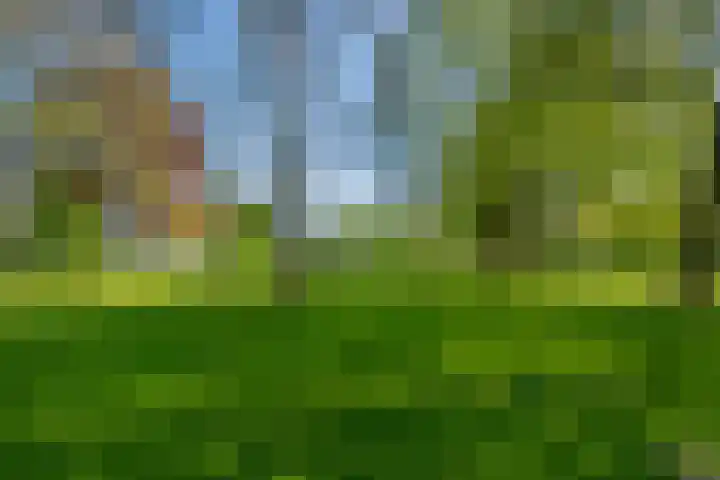 Korfoedreef 181 Utrecht thumbnail 62