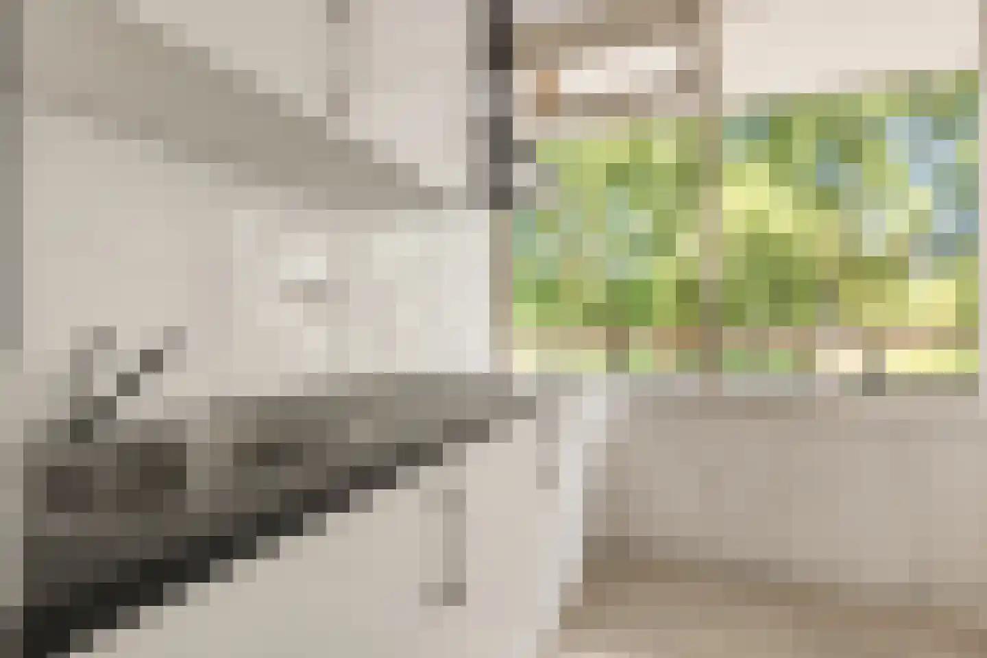 Korfoedreef 23 Utrecht thumbnail 15