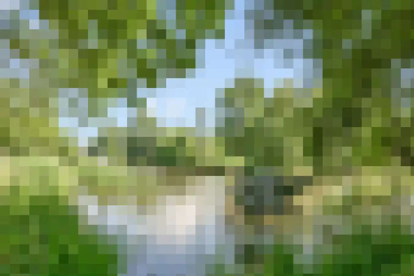 Korfoedreef 23 Utrecht thumbnail 22