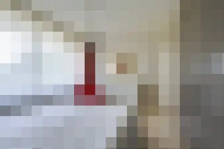 Korfoedreef 41 Utrecht thumbnail 14