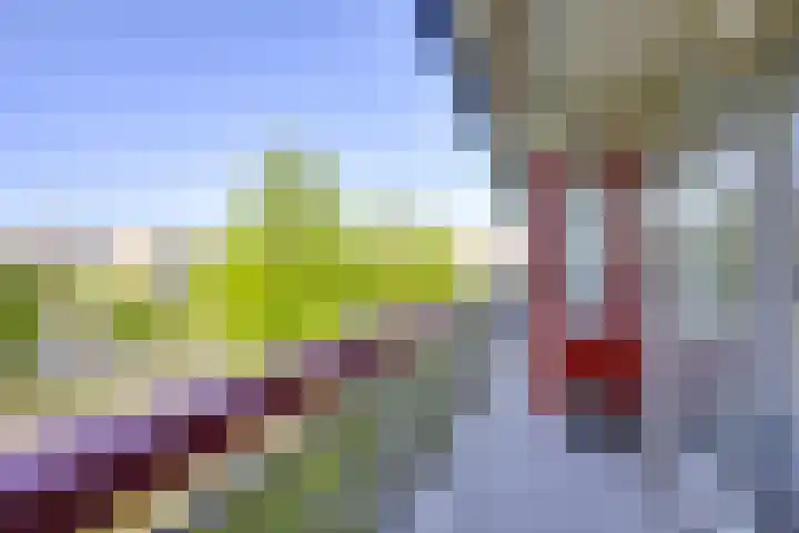 Korfoedreef 41 Utrecht thumbnail 23