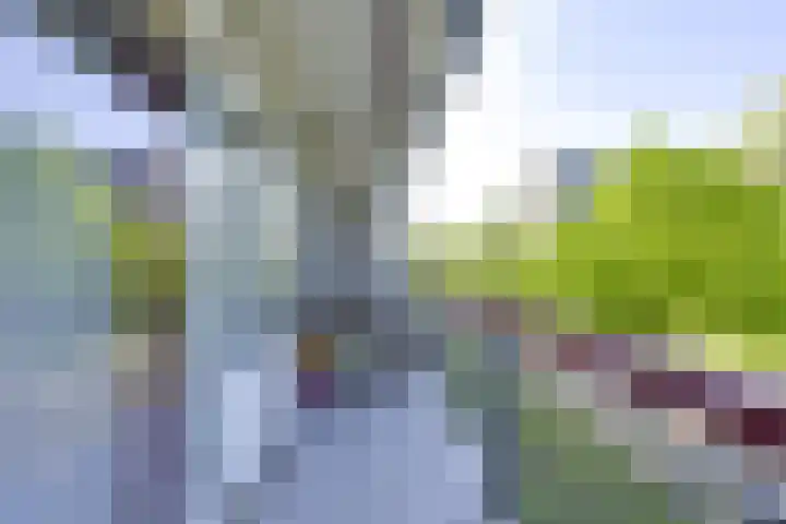 Korfoedreef 41 Utrecht thumbnail 24
