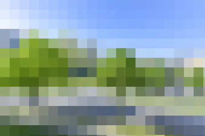 Korfoedreef 41 Utrecht thumbnail 25