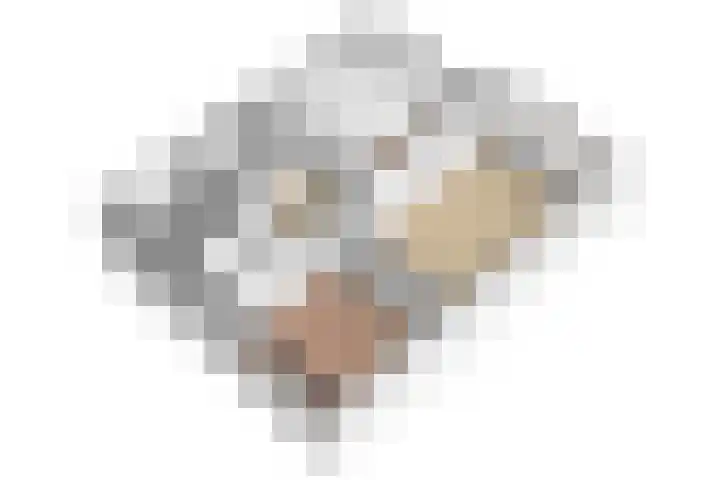Korfoedreef 41 Utrecht thumbnail 36