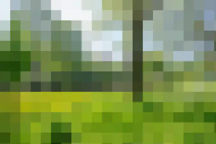 Korfoedreef 41 Utrecht thumbnail 5