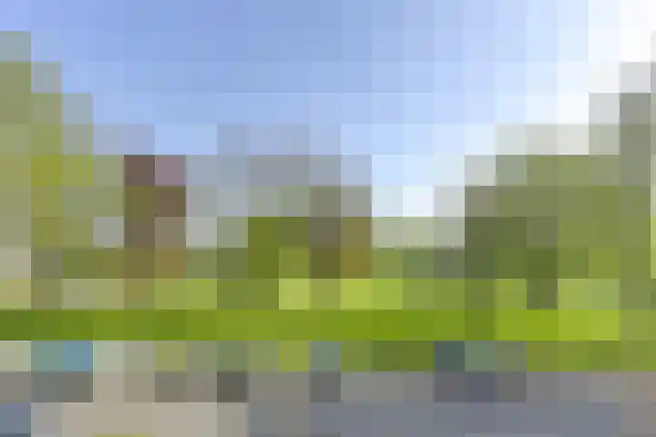 Korfoedreef 41 Utrecht thumbnail 7