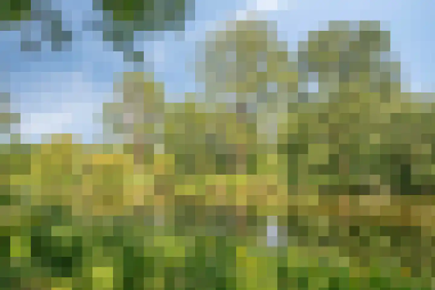 Korfoedreef 43 Utrecht thumbnail 39