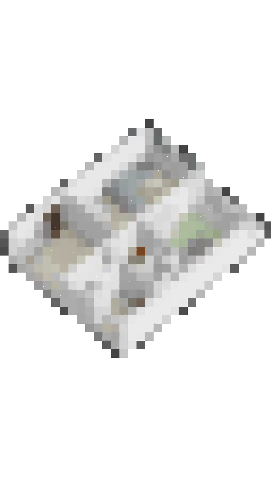 Korfoedreef 43 Utrecht thumbnail 41