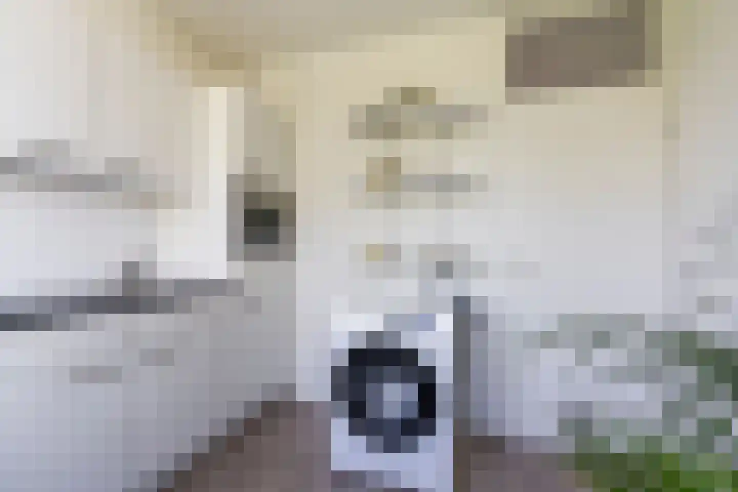 Korfoedreef 65 Utrecht thumbnail 16