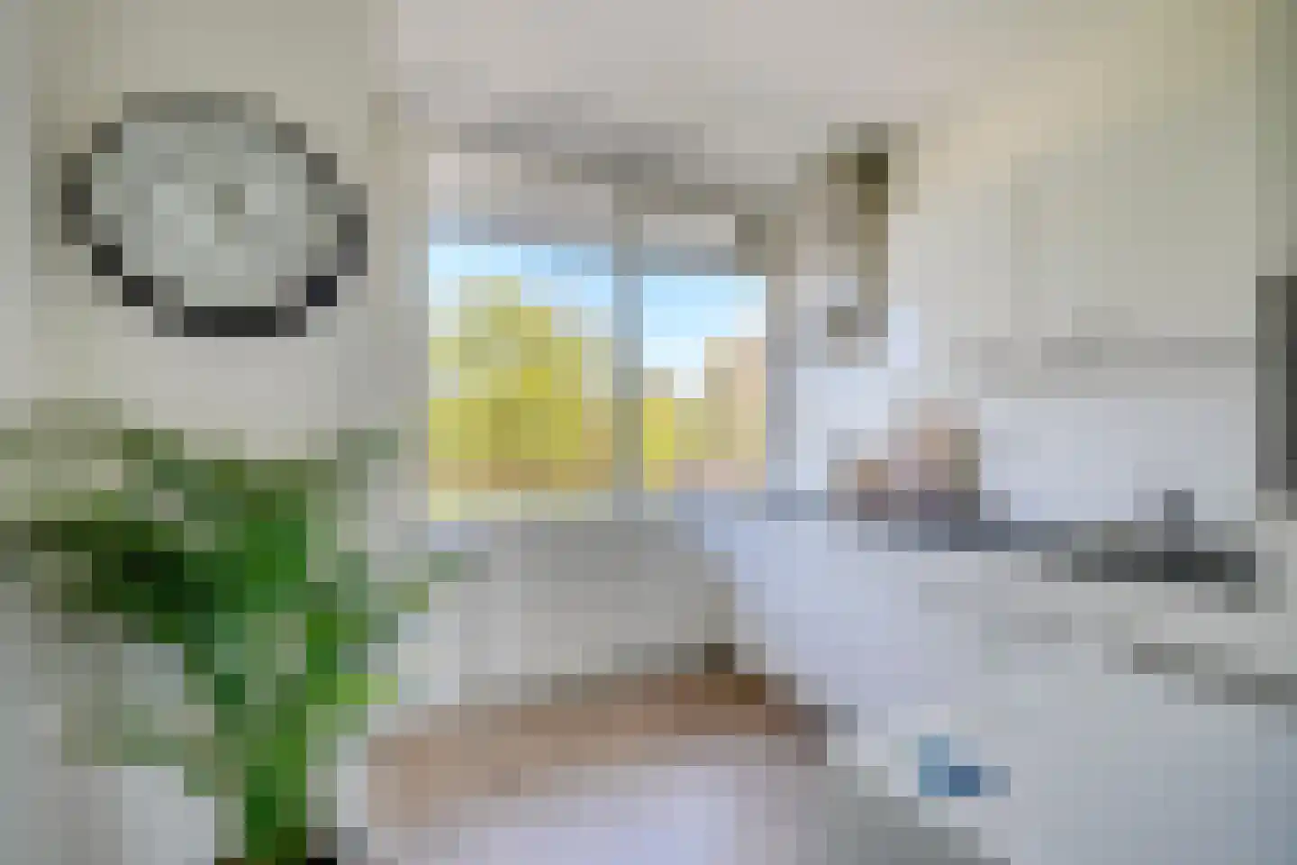 Korfoedreef 65 Utrecht thumbnail 4