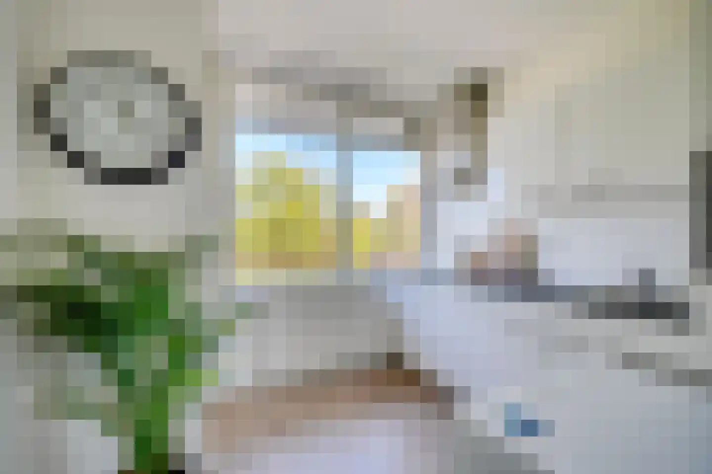 Korfoedreef 65 Utrecht thumbnail 4