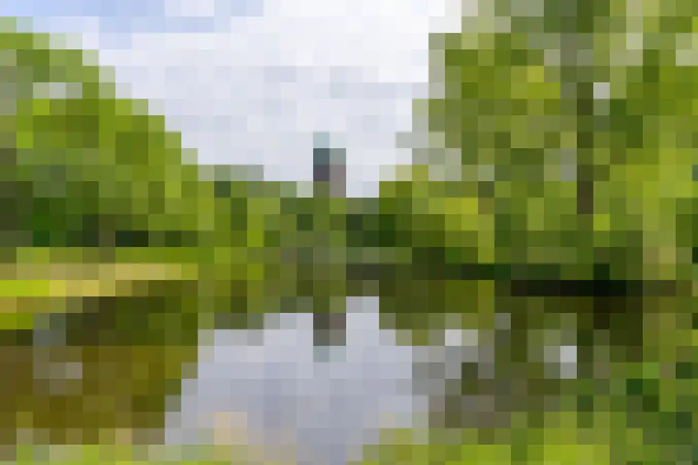 Korfoedreef 65 Utrecht thumbnail 40