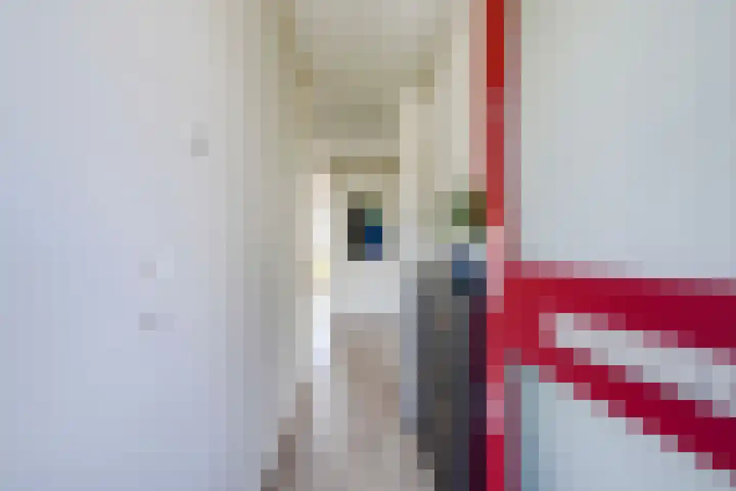 Korfoedreef 65 Utrecht thumbnail 6