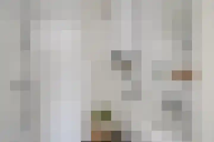 Korfoedreef 85 Utrecht thumbnail 29