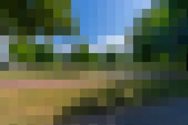 Korfoedreef 85 Utrecht thumbnail 33
