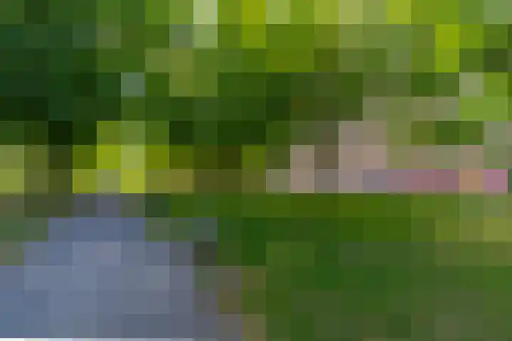 Korfoedreef 85 Utrecht thumbnail 34