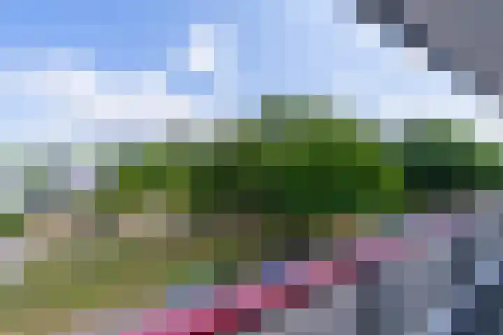 Korfoedreef 85 Utrecht thumbnail 4