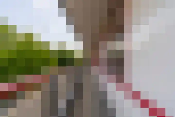 Korfoedreef 85 Utrecht thumbnail 6