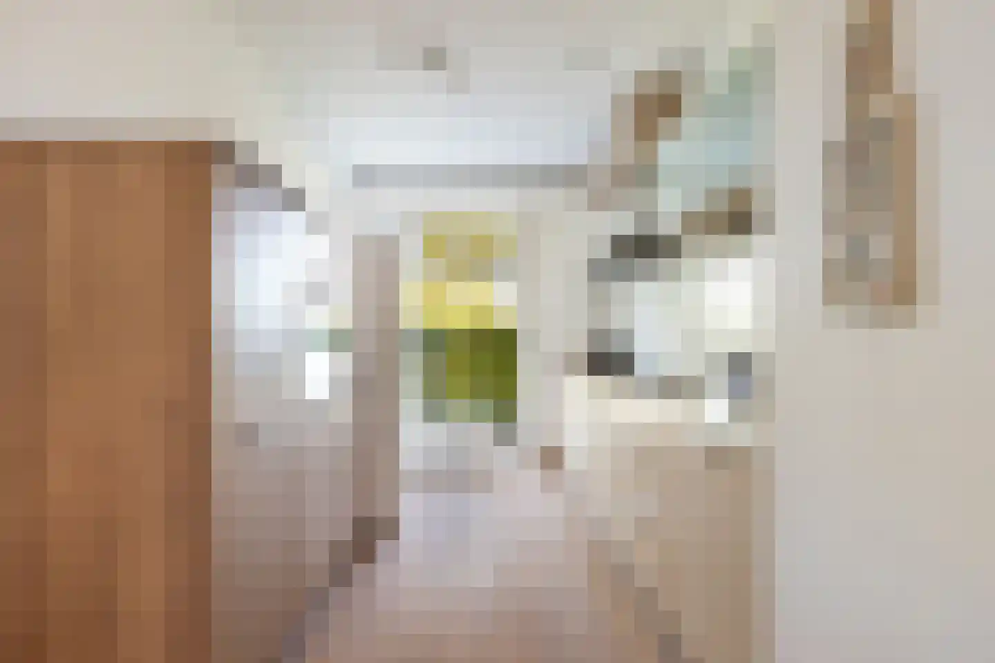 Korfoepad 113 Rotterdam thumbnail 15