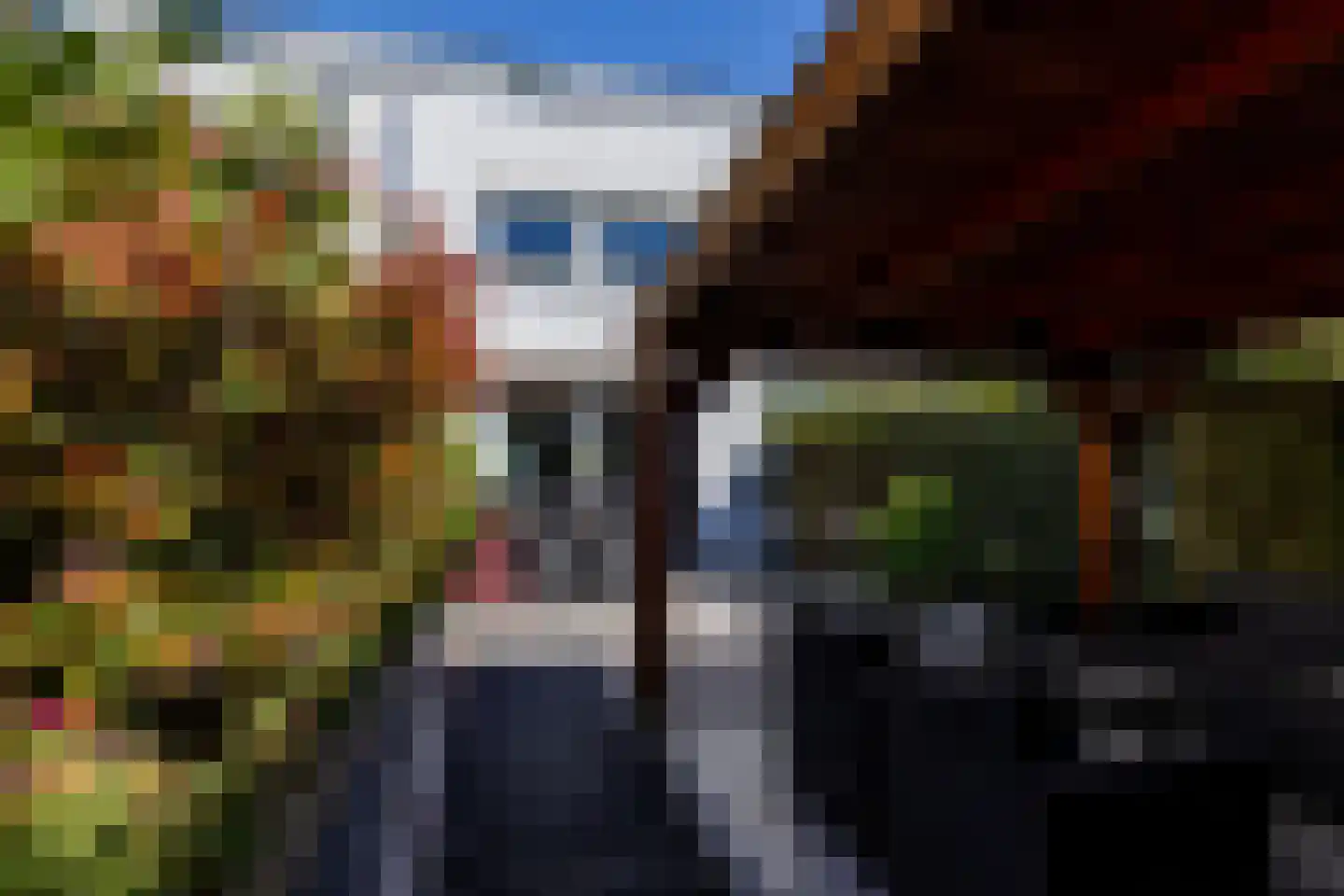 Korfoepad 113 Rotterdam thumbnail 32