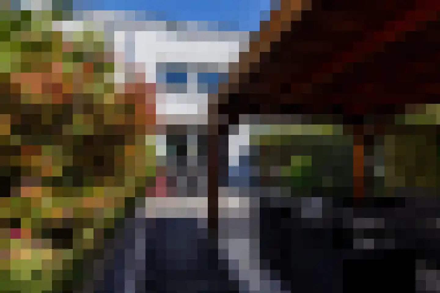 Korfoepad 113 Rotterdam thumbnail 34