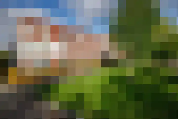 Korfoepad 115 in Rotterdam