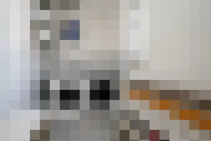 Korfoepad 115 Rotterdam thumbnail 24