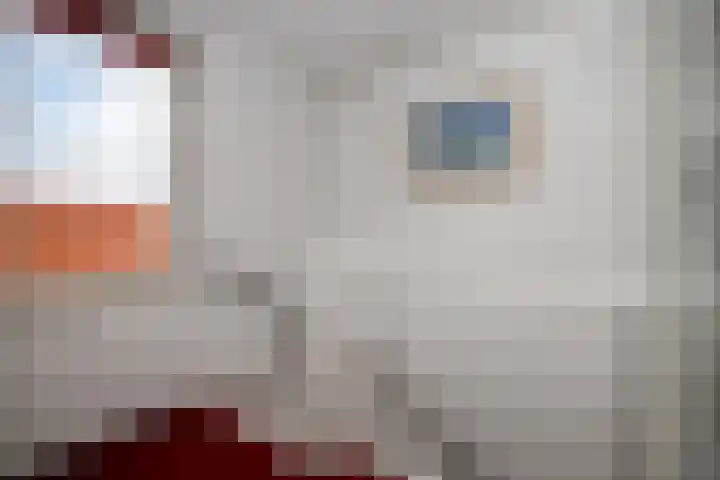 Korfoepad 115 Rotterdam thumbnail 27