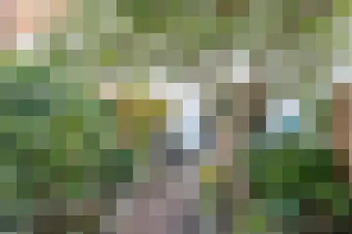 Korfoepad 115 Rotterdam thumbnail 30