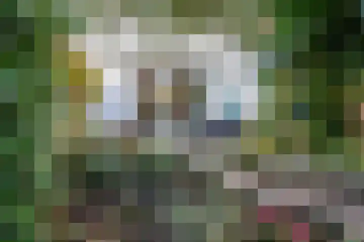 Korfoepad 115 Rotterdam thumbnail 32