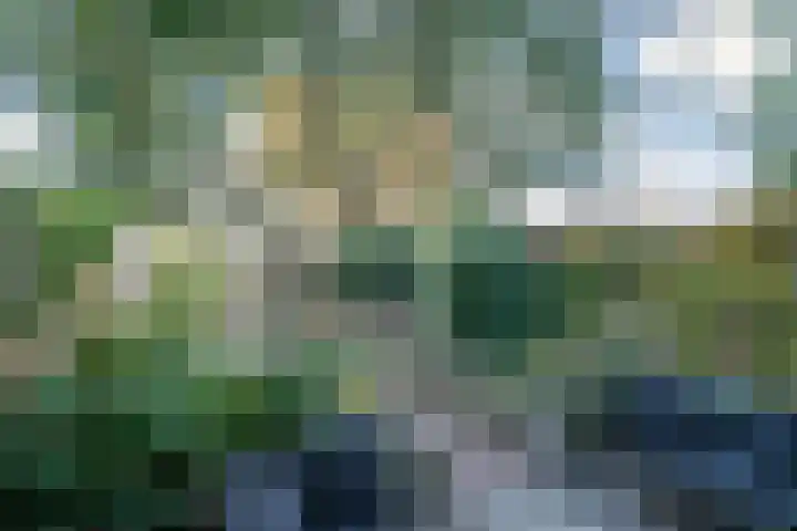 Korfoepad 115 Rotterdam thumbnail 33