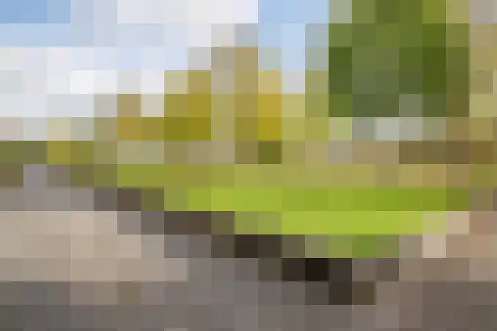 Korfoepad 115 Rotterdam thumbnail 36