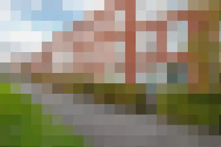 Korfoepad 115 Rotterdam thumbnail 37