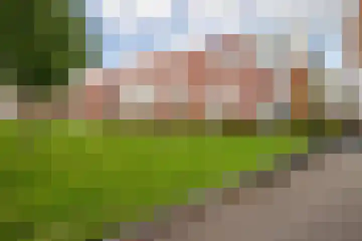 Korfoepad 115 Rotterdam thumbnail 38