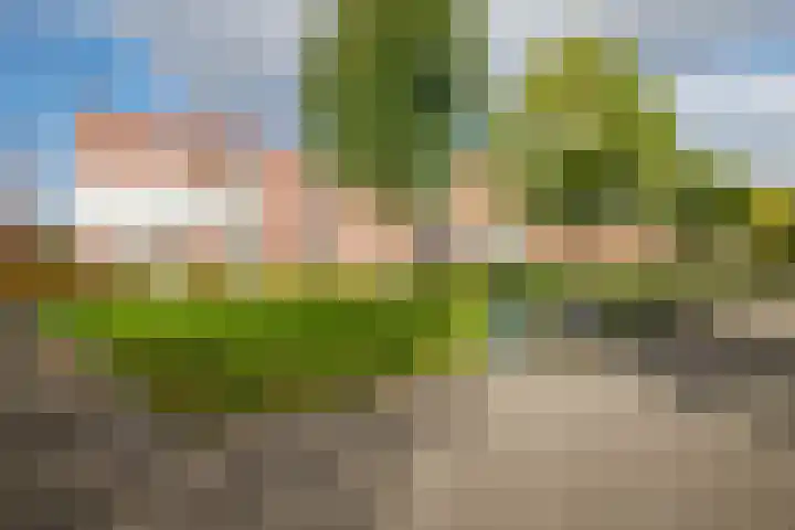 Korfoepad 115 Rotterdam thumbnail 41
