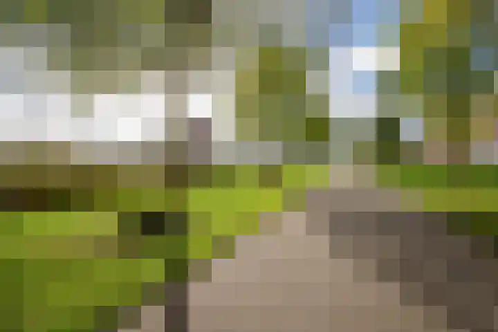 Korfoepad 115 Rotterdam thumbnail 42
