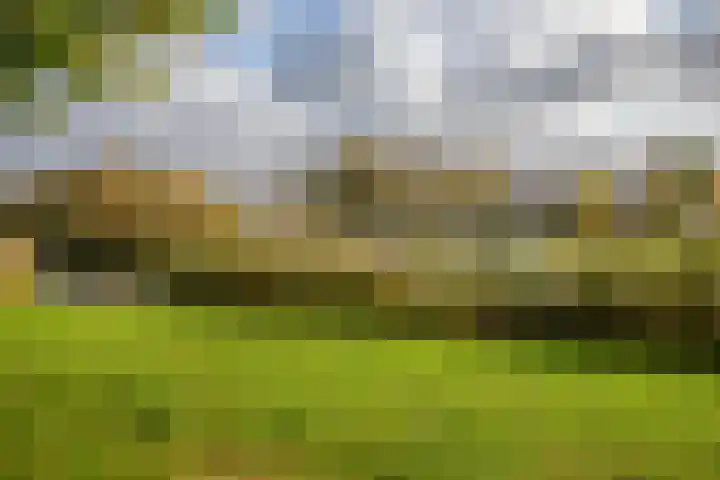 Korfoepad 115 Rotterdam thumbnail 43